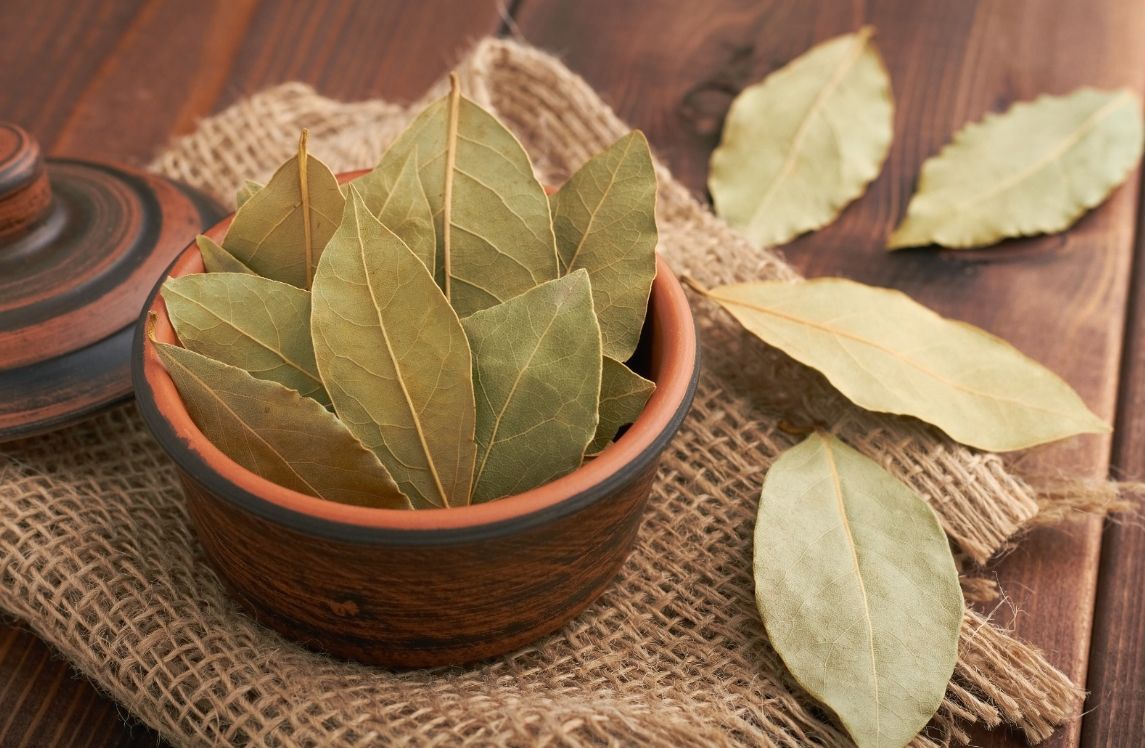 Defne yaprağı 50 gr.