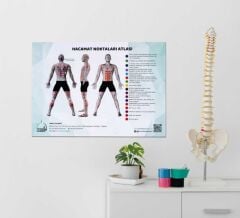 Hacamat Noktaları Atlası