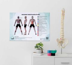 Hacamat Noktaları Atlası