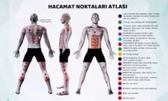 Hacamat Noktaları Atlası